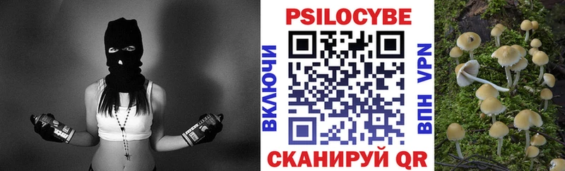 Галлюциногенные грибы мицелий  купить закладку  Долгопрудный 